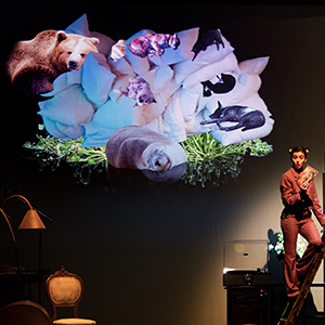 Uma Outra Bela Adormecida